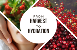 Package Seasonal Features 